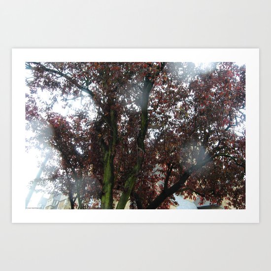 Slave Ambient. Art Print