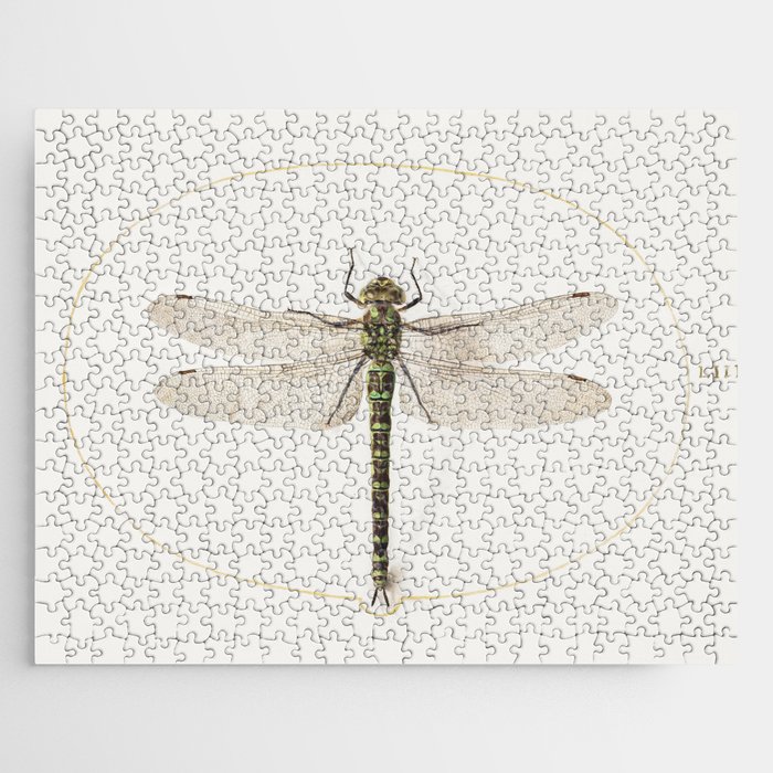Dragonfly Jigsaw Puzzle