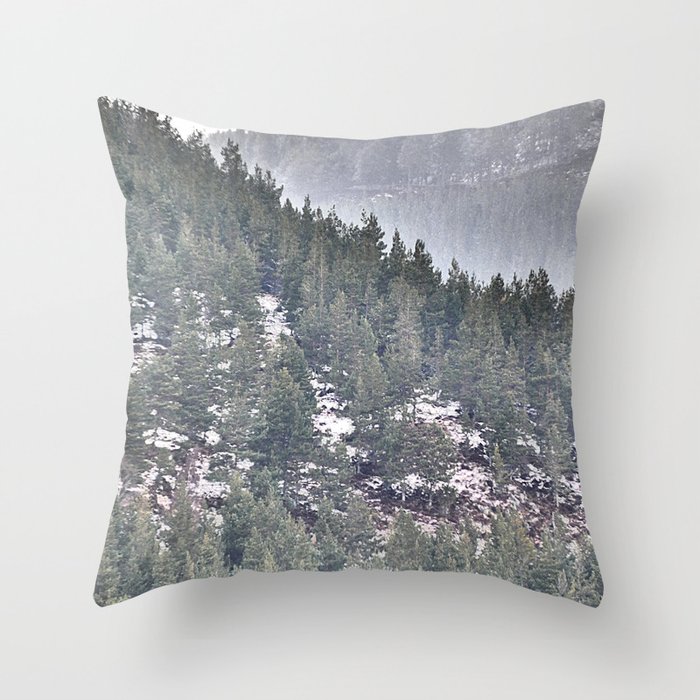 Scottish Pine Forest After Spring Snow in I Art and Afterglow  Throw Pillow
