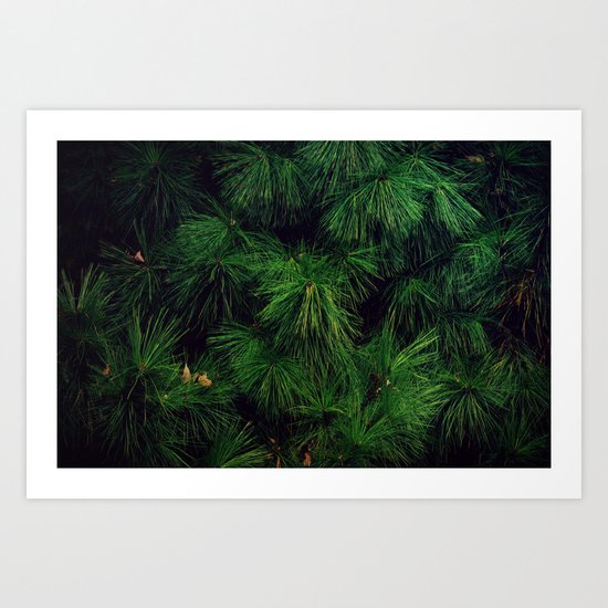 The Stronger the Wind, the Stronger the Tree Art Print