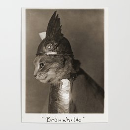 1936 Vintage Photo of Viking Cat "Brunnhilde" Poster