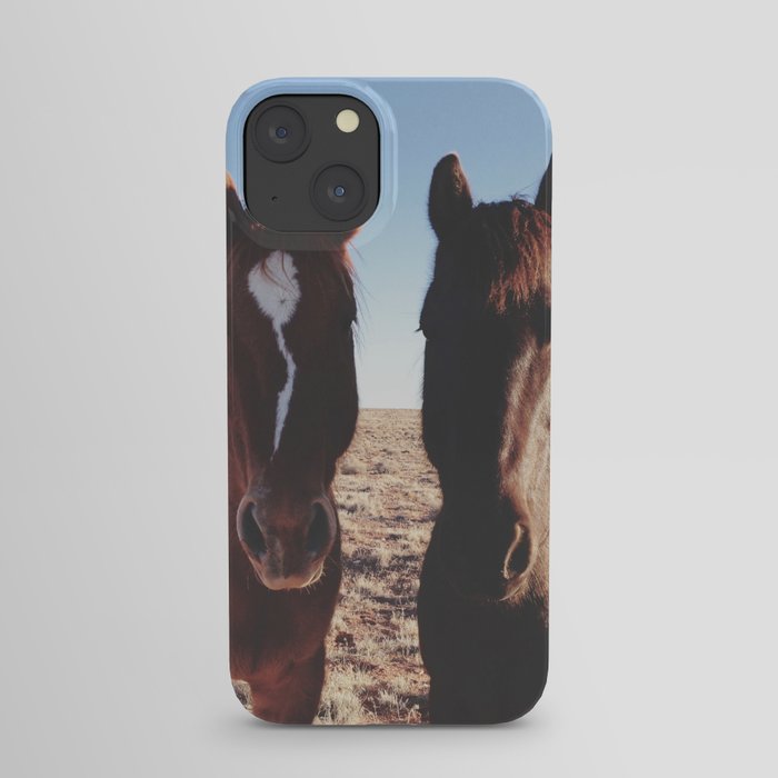 Horse Friends iPhone Case