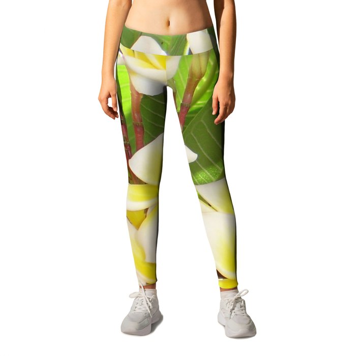 White and Yellow Frangipani Flowers with Leaves in Background  Leggings
