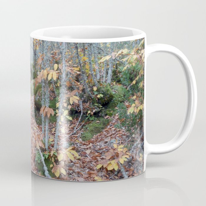 Chestnut Forest in the Fall Coffee Mug
