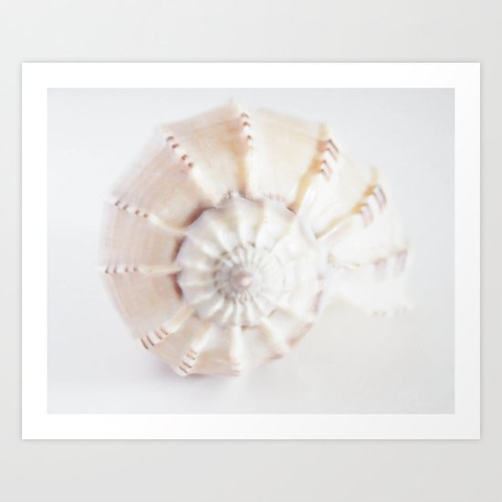 Shell Art Print