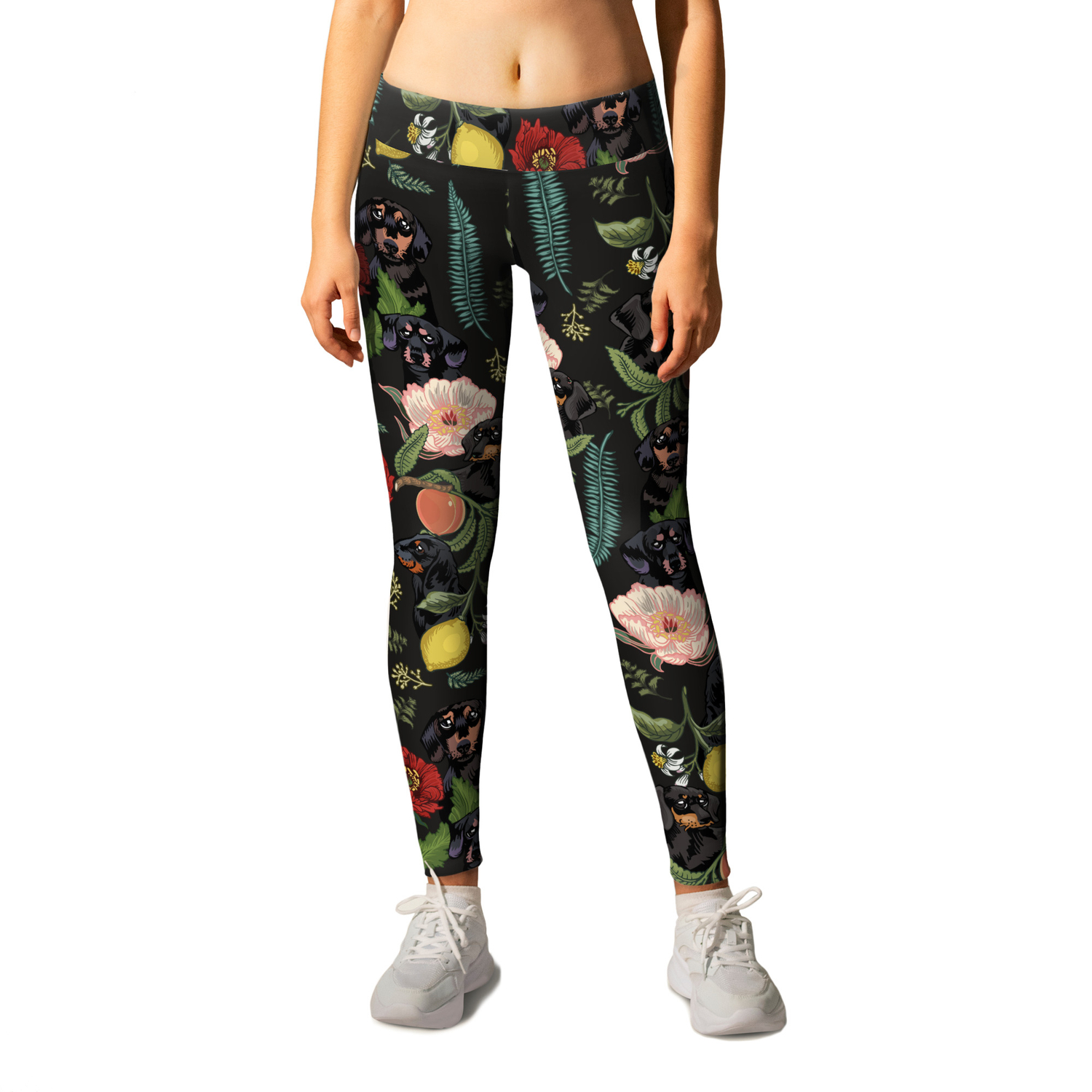 dachshund leggings