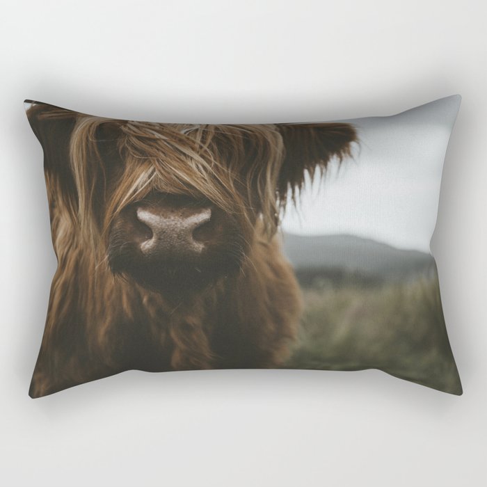 Rectangular Pillow