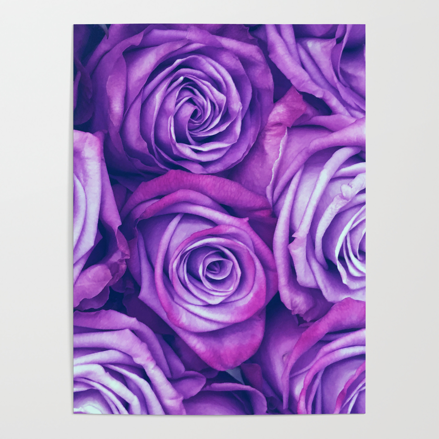 Framed Print Flower Picture Poster Petals Art Beautiful Gothic Purple Rose 