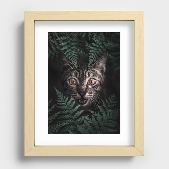 Hiding Kitty Cute Cat Bengal Recessed Framed Print