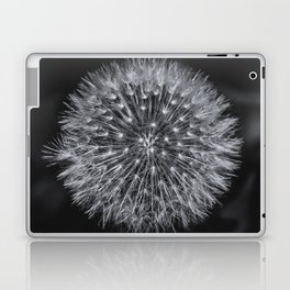 Dandelion Laptop & iPad Skin