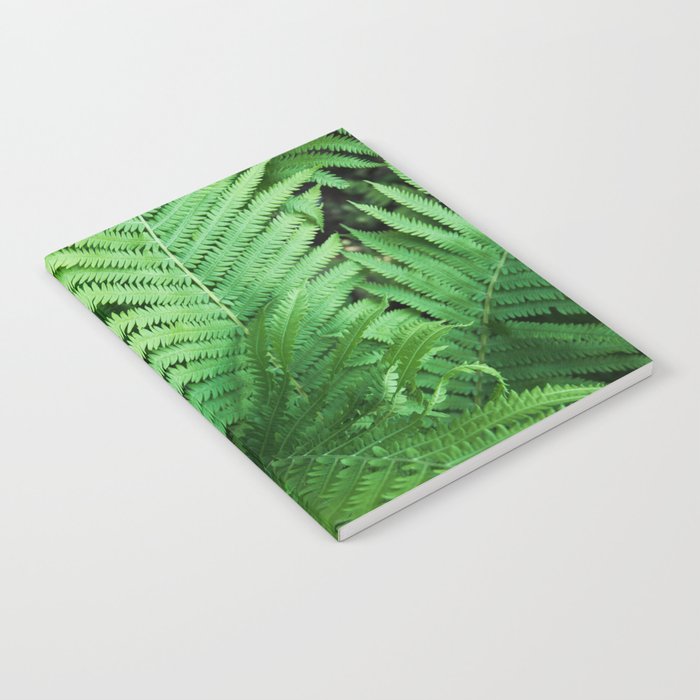 Fern Photography | Tropical Leaves | Nature | Jungle | Rainforest | Tropical | Minimalism Notebook