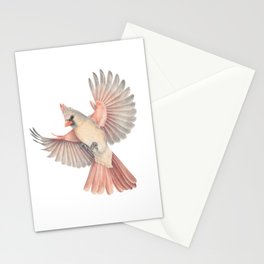 Lady Cardinal Stationery Cards