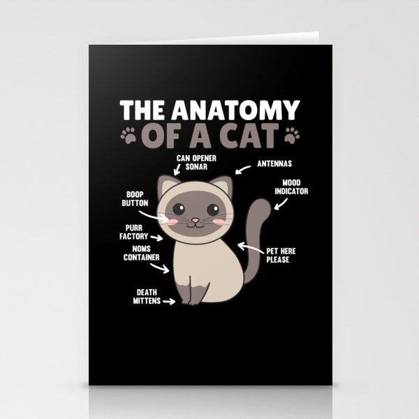 The Anatomy Of A Cat Funny Explanation Of A Cat Stationery Cards