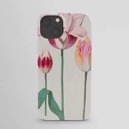 Flower Market Amsterdam Vintage Pink Tulip Floral iPhone Case