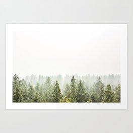 arial forest print, tree top print, wall art, woodland print, forest print, arial fog tree phoo Art Print