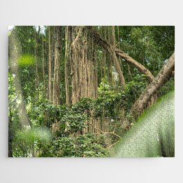 Brazil Photography - Tall Tropical Trees In The Rain Forest Jigsaw Puzzle