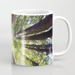 Humboldt California Redwood Trees Coffee Mug