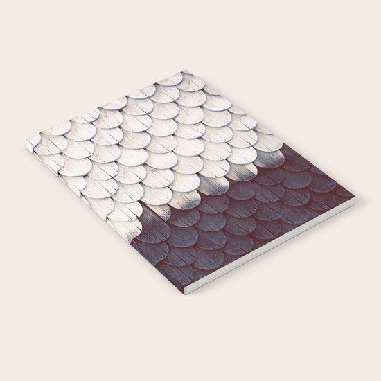 SHELTER Notebook
