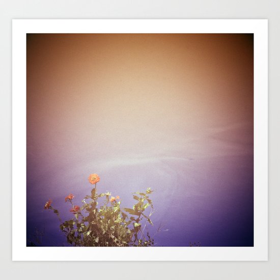 Water Flowers Art Print