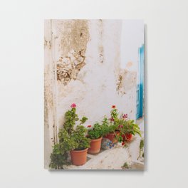 Greek Still Live with Plants | Colorful Travel Scene | Minimalistic Photography Metal Print