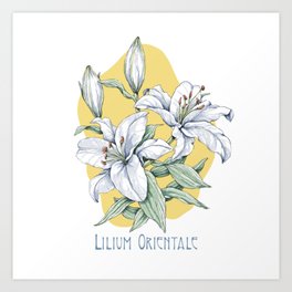 Radiant Lilies on Sunshine Canvas - Floral Digital Art Art Print