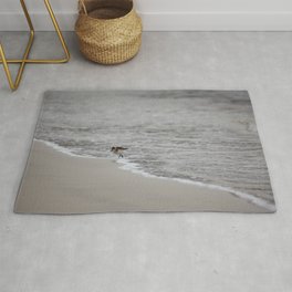 Lonely Sandpiper Rug