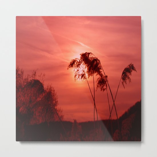 Dawn Metal Print