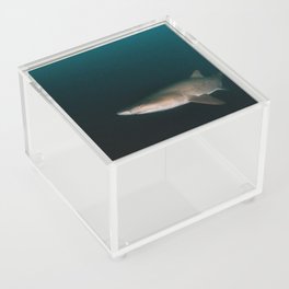 Raggy-toothed Shark coming out of the dark waters Acrylic Box