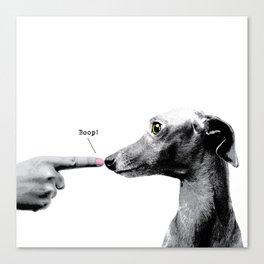 Boop! Italian Greyhound Canvas Print