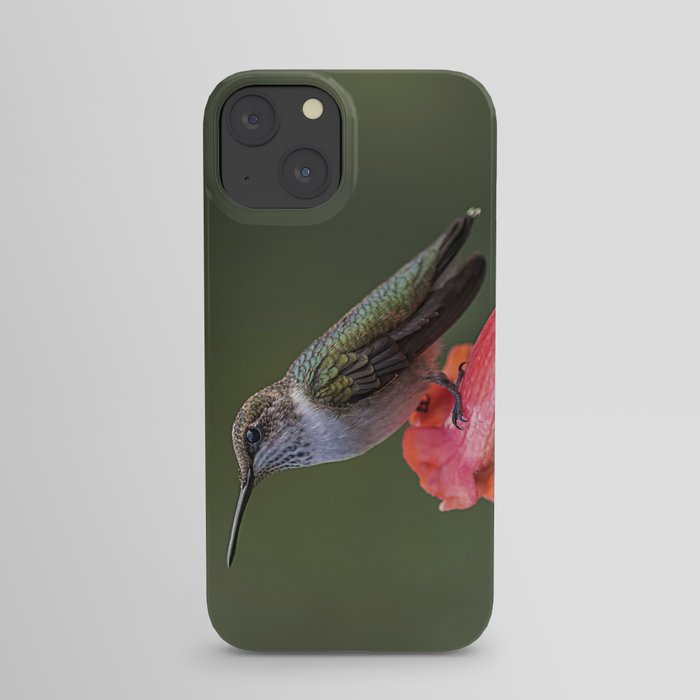 Hummingbird resting on a flower iPhone Case