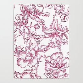 Floral Line Drawing 4 Poster
