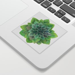 Simply Succulent Sticker
