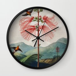 Robert John Thornton - Large–Flowering Sensitive Plant Wall Clock
