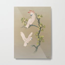 Moluccan Cockatoos Metal Print | Cockatoos, Asianart, Asian, Ginkgotree, Birds, Parrots, Eastern, Digital, Digitalpainting, Painting 