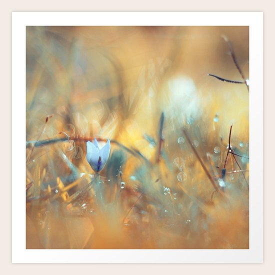 Soul of Fire Art Print
