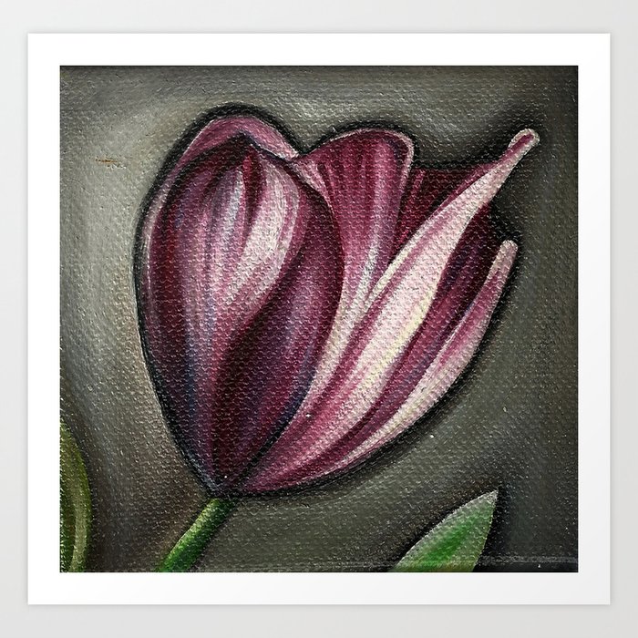purple tulip Art Print