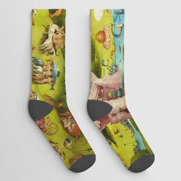 The Garden of Earthly Delights (1503-1515) — Hieronymus Bosch Socks