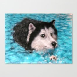 Swimming Husky wool art print Canvas Print