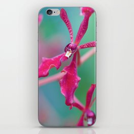 Exotic Pink Orchid In Green iPhone Skin