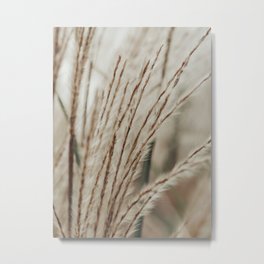 Neutral Botanical Abstract 2 x autumn plant photograph Metal Print