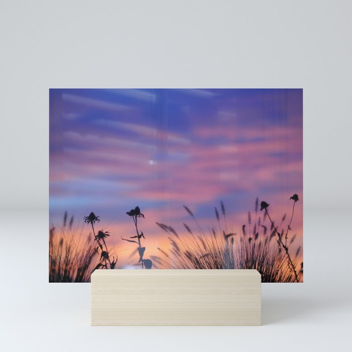 LOOK OUTSIDE - Flowers & Sunset #1 #art #society6 Mini Art Print