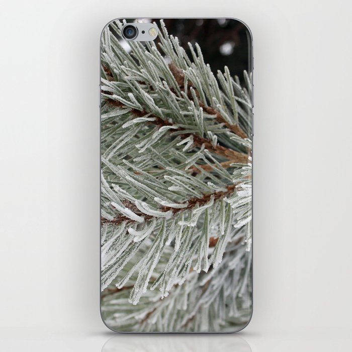 Frosted Pine Needles iPhone Skin