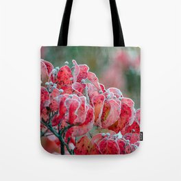 Frosted Dogwood Tote Bag
