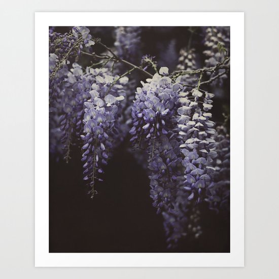 Wisteria Art Print