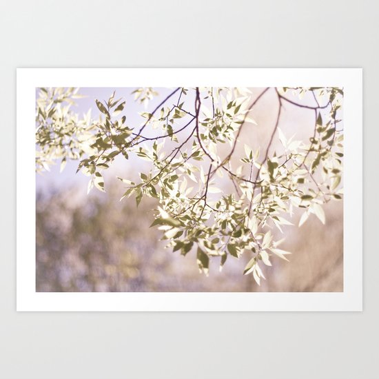 softness Art Print