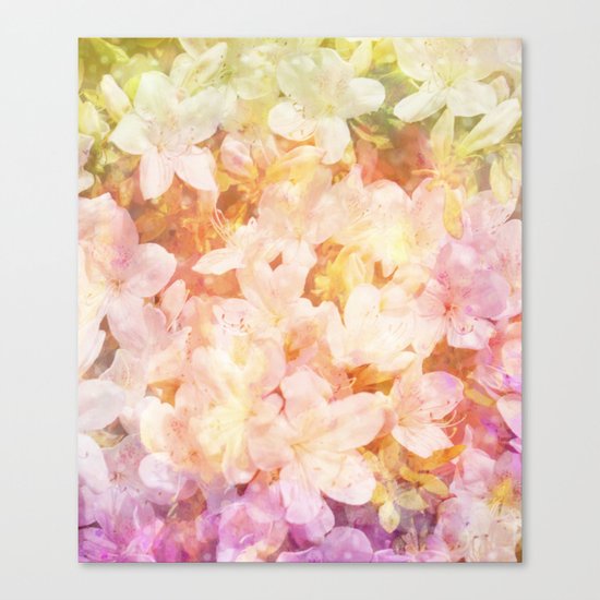 Azalea Flowers Canvas Print