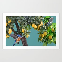 Lemon Trees Art Print