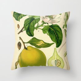 Botanical Print Throw Pillow