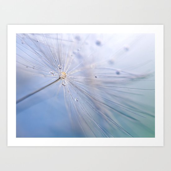 Dandelion fluff....4 Art Print