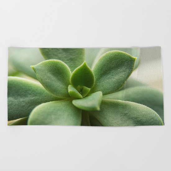 Succluent sunshine Beach Towel
